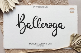 Balleroga Modern Script Font Font Download