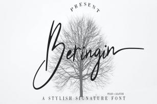Beringin Stylish Signature Font Font Download