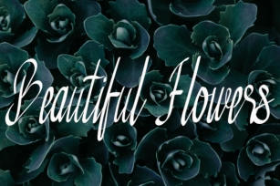 Beautiful Flores Font Download