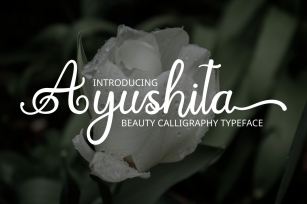 Ayushita beauty calligrapy Font Download