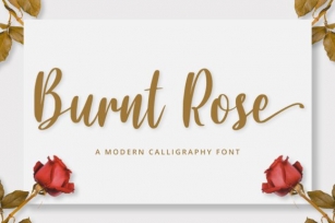 Burnt Rose Font Download