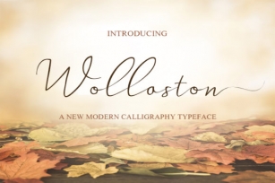 Wollaston Font Download