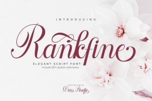 Rankfine-Elegant Calligraphy Font Font Download