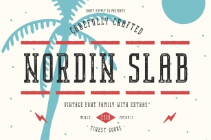 Nordin Slab Vintage Font Family Font Download