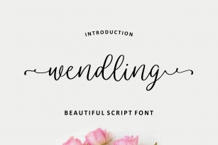 Wendling - Beautiful Script Font Download
