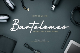 Bartolomeo | Monoline Script Fonts Font Download