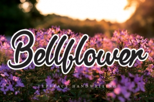 Bellflower Font Download