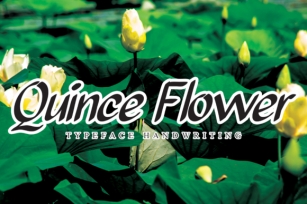 Quince Flower Font Download