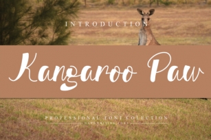 Kangaroo Paw Font Download