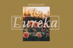 Eureka Font Font Download