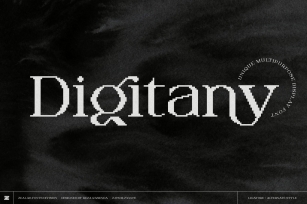 Digitany - Multipurpose Pixel-Serif Font Font Download