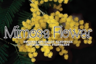 Mimosa Flower Font Download
