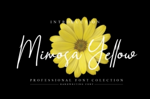 Mimosa Yellow Font Download