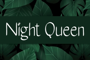 Night Queen Font Download