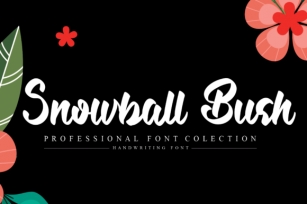Snowball Bush Font Download