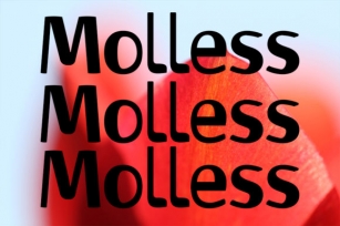 Molless Font Download