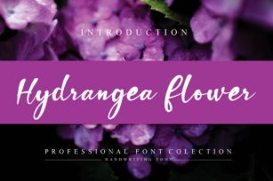 Hydrangea Flower Font Download