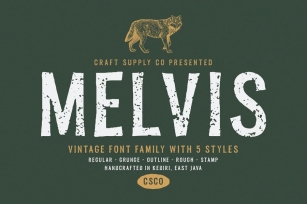 Melvis - Vintage Font Family Font Download