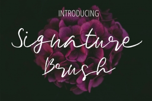 Signature Brush Font Font Download