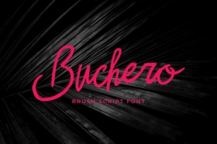 Buchero Brush Script Font Font Download