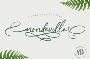 Mondevilla - A Beautiful Script Font Font Download