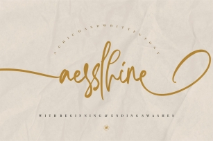 Aesslhine - A Chic Handwritten Font Font Download