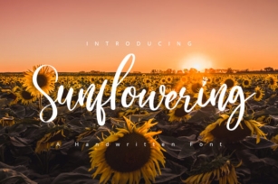 Sunflowering Font Download