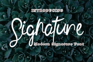 Signature Font Download