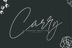 Carry | Modern Signature Font Font Download