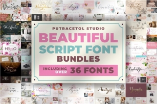 Beautiful Script Font Bundles! Font Download