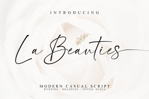 La Beauties-Casual Handwritten Font Font Download