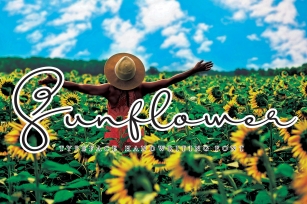 sunflower Font Download