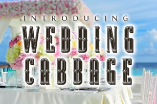 Wedding Cabbage Font Download
