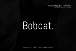 Bobcat Font Download