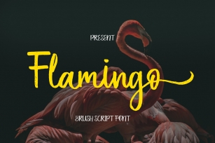 Flamingo Brush Script Font Download