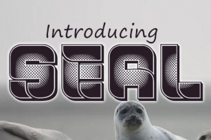 Seal Font Download