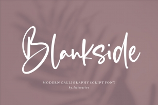 Blankside Modern Calligraphy Font Font Download