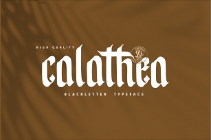 Calathea Blackletter Font Font Download