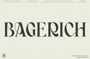 Bagerich Elegant Font Font Download