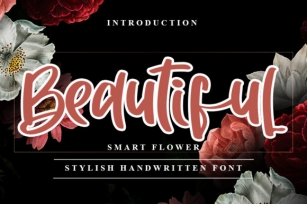 Beautiful Font Download
