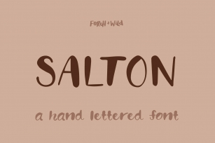 Salton // Hand Lettered Duo Font Download