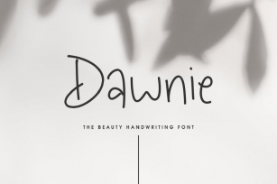 Dawnie - The Beauty Handwriting Font Font Download