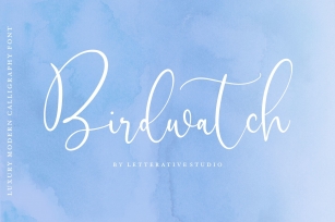 Birdwatch Luxury Modern Calligraphy Font Font Download