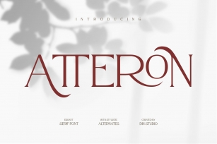 Atteron-Elegant Serif Font Download