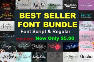 Best Font Bundles Script and Regular Font Download