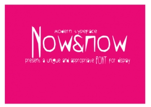 Now  Now Font Download
