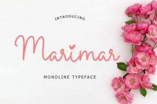 Marimar Monoline Typeface Font Download
