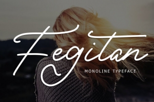 Fegitan Monoline Typeface Font Download