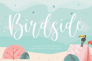 Birdside Lovely Modern Handwritten Font Font Download
