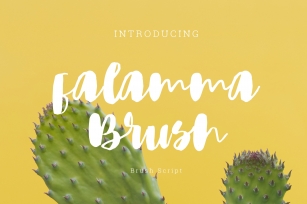 Falamma brush Script Font Download